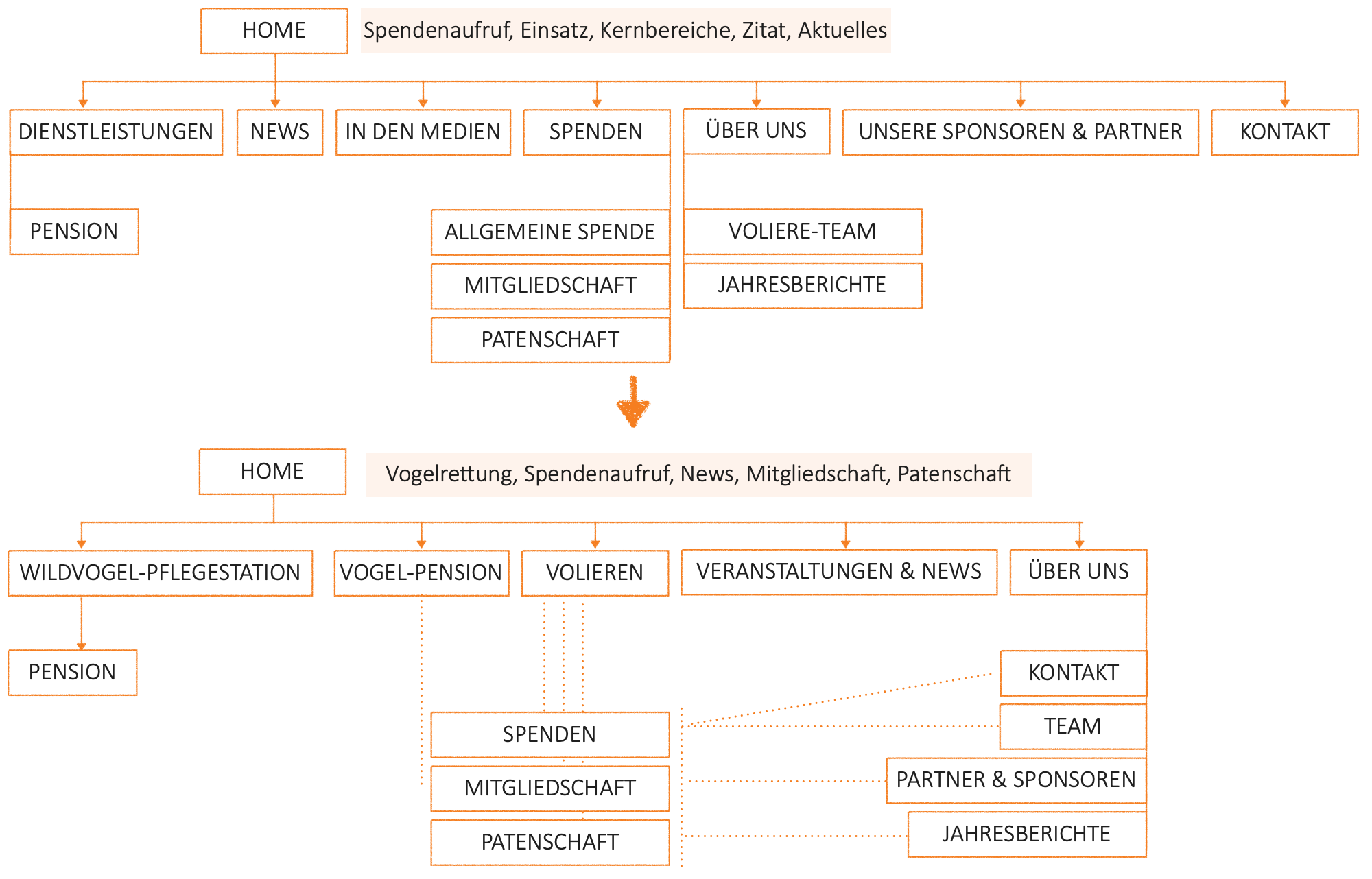 Information Architecture